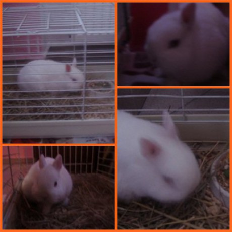 168346_201824373165707_100000144386576_921246_743926_n